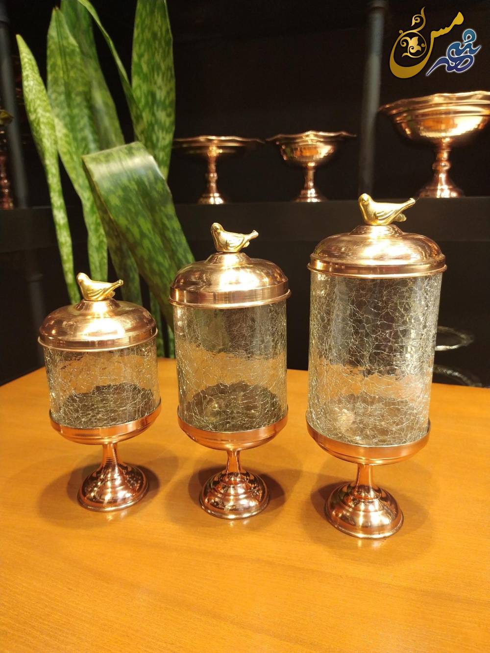 کندی باکس مسی